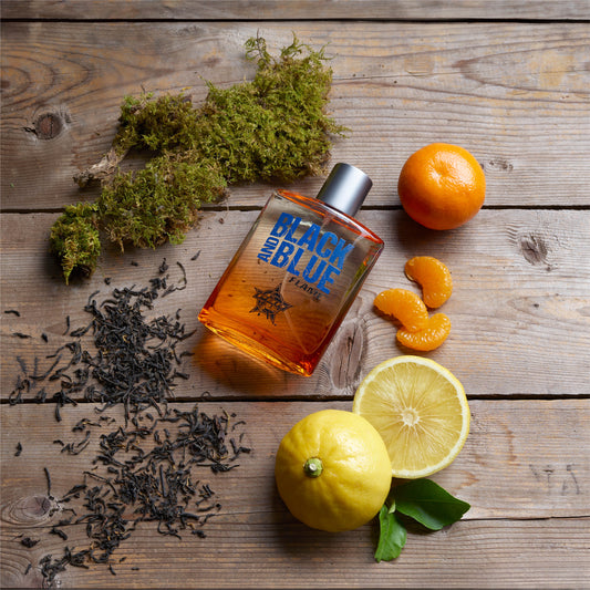 Tru Western PBR Black and Blue Flame Men's Cologne, 3.4 fl oz (100 ml) - Sporty, Clean, Fresh